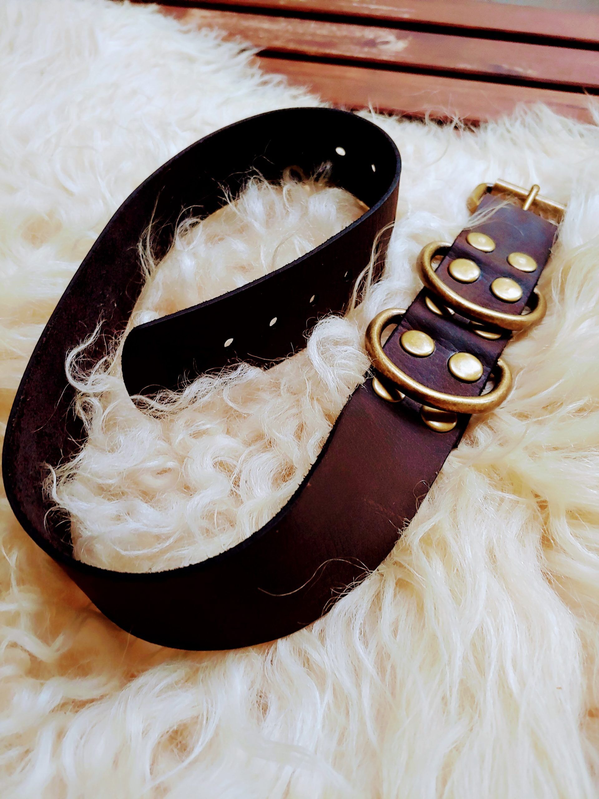 Leather Dog Collar